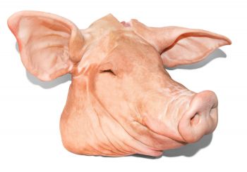Chuletero de cerdo Productos Cárnicos Domínguez